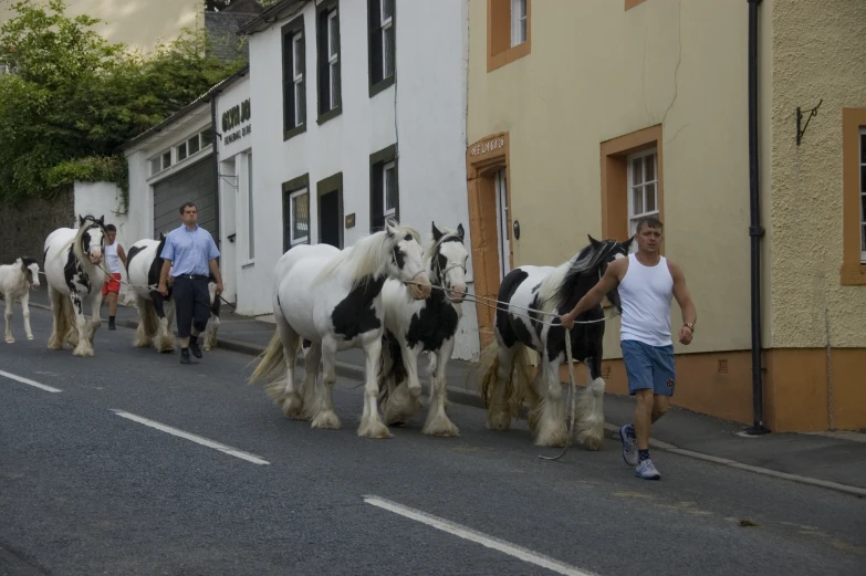 the people walk along the road with their horses