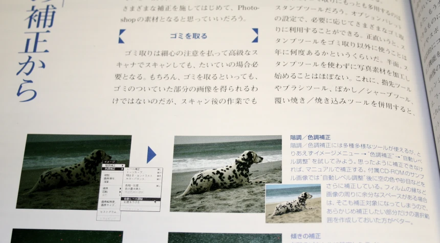 the book features images from various places on the beach