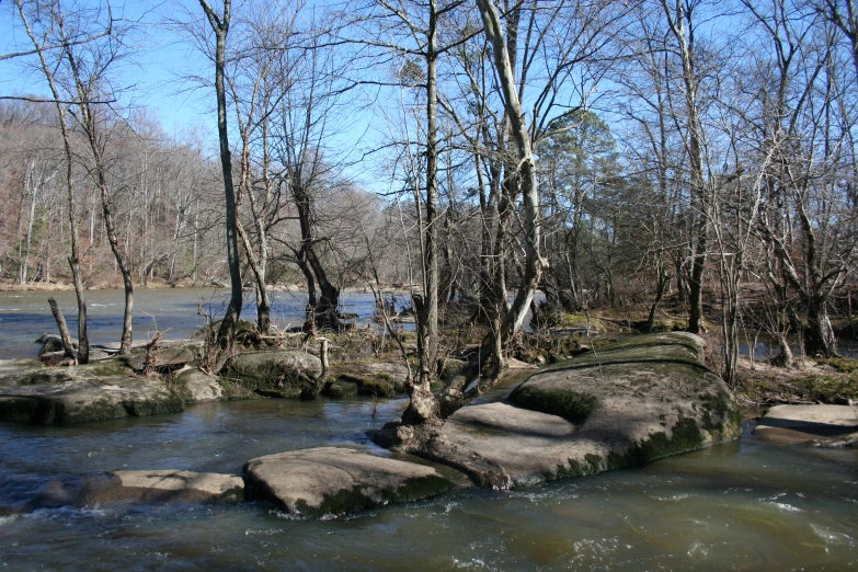 small river flowing through a forested area near many rocks