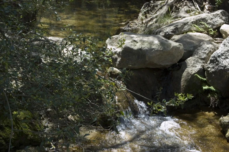 a stream running between rocks and trees