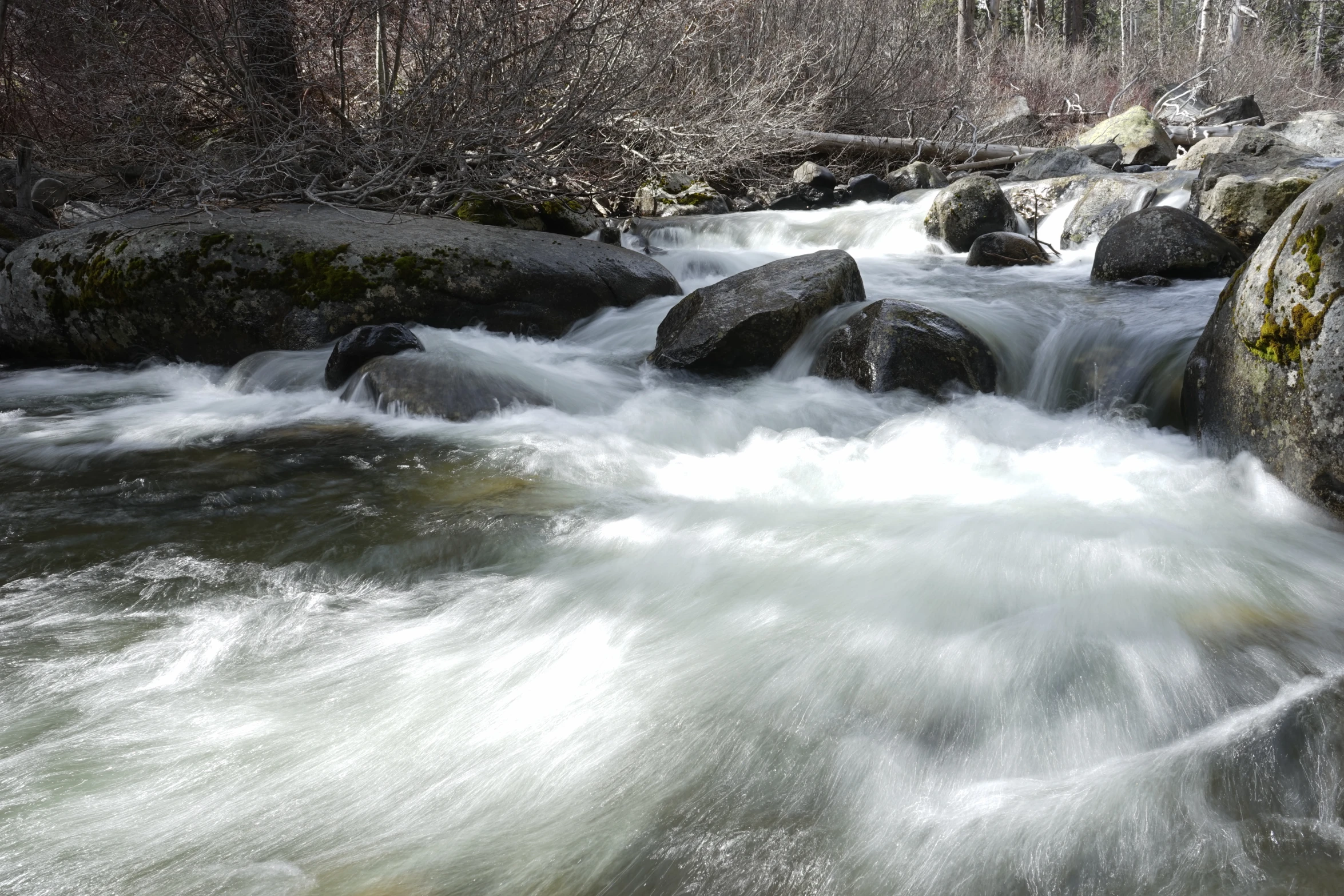 a river running past rocks surrounded by forest