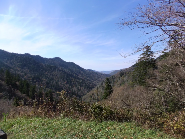 the view out on a mountain side, of trees and hills in the background