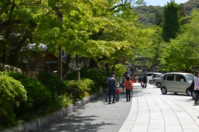 cars and pedestrians walk down a street with many trees