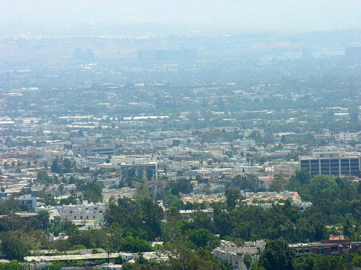 a city with buildings and green trees overlooking the city