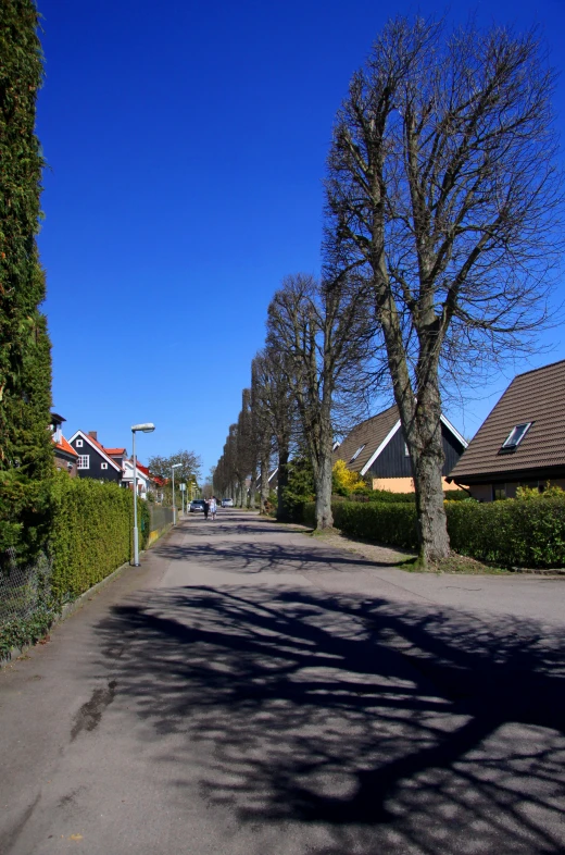 a street with trees lined with bushes and fence