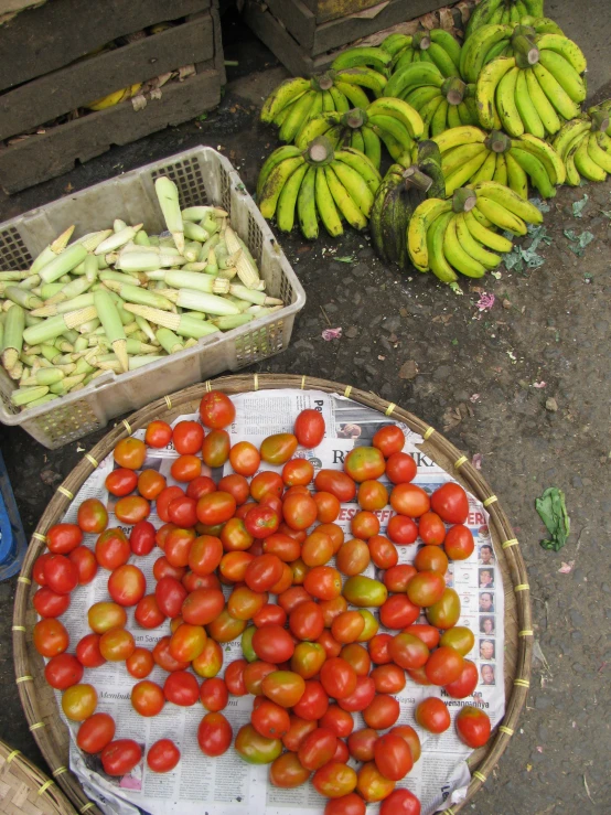 the fruits and vegetables are set out on the ground