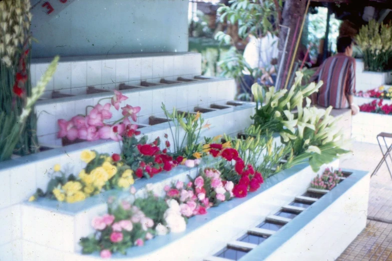 a man sits in front of flower boxes full of pink, yellow and red flowers