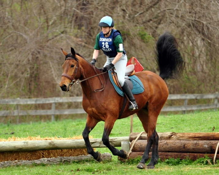 an equestrian riding her horse in an enclosed fenced area