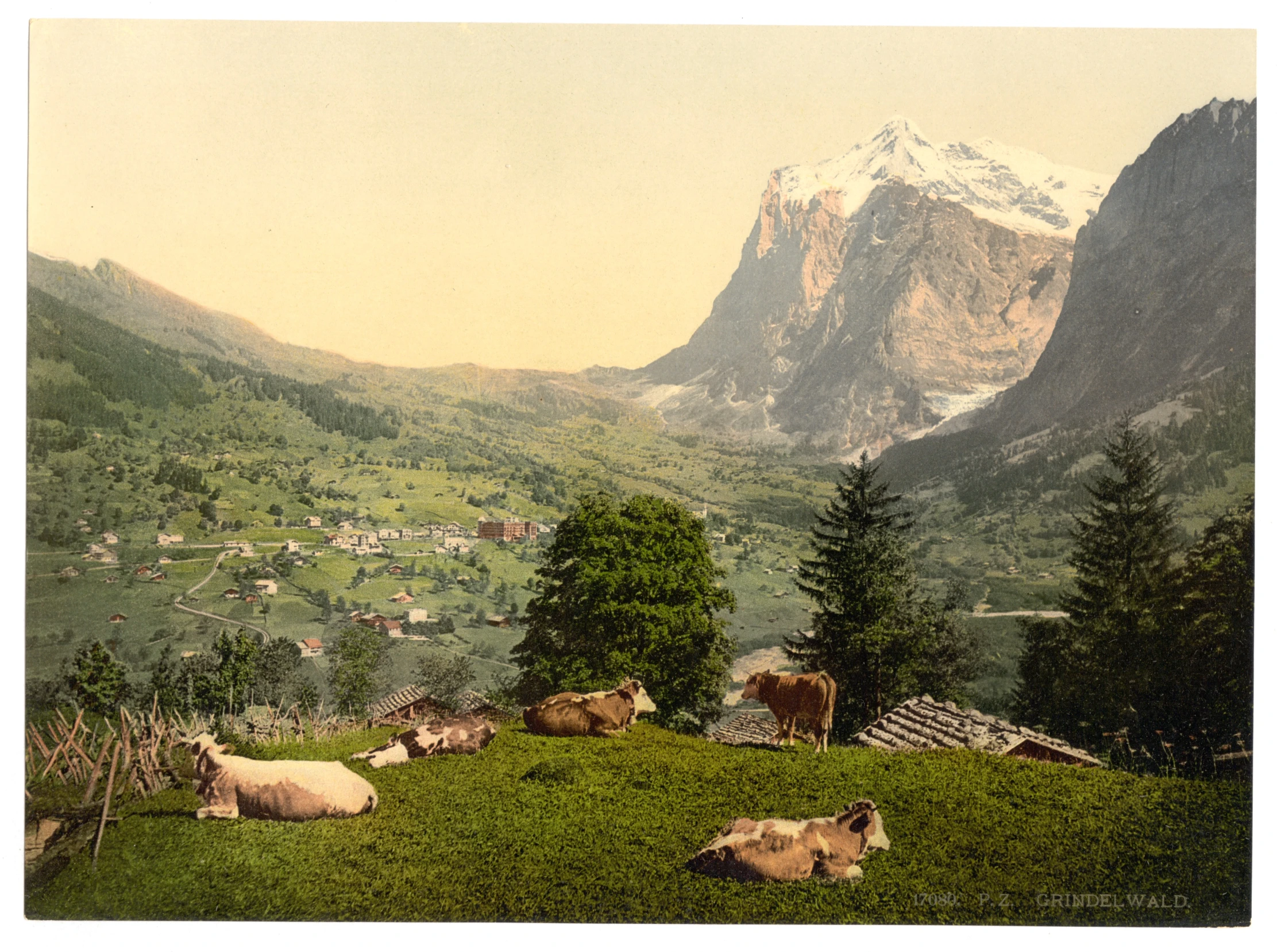 an alpine landscape with cows and mountains in the distance