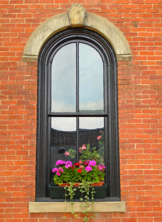 a window with plants behind it, in front of a brick wall