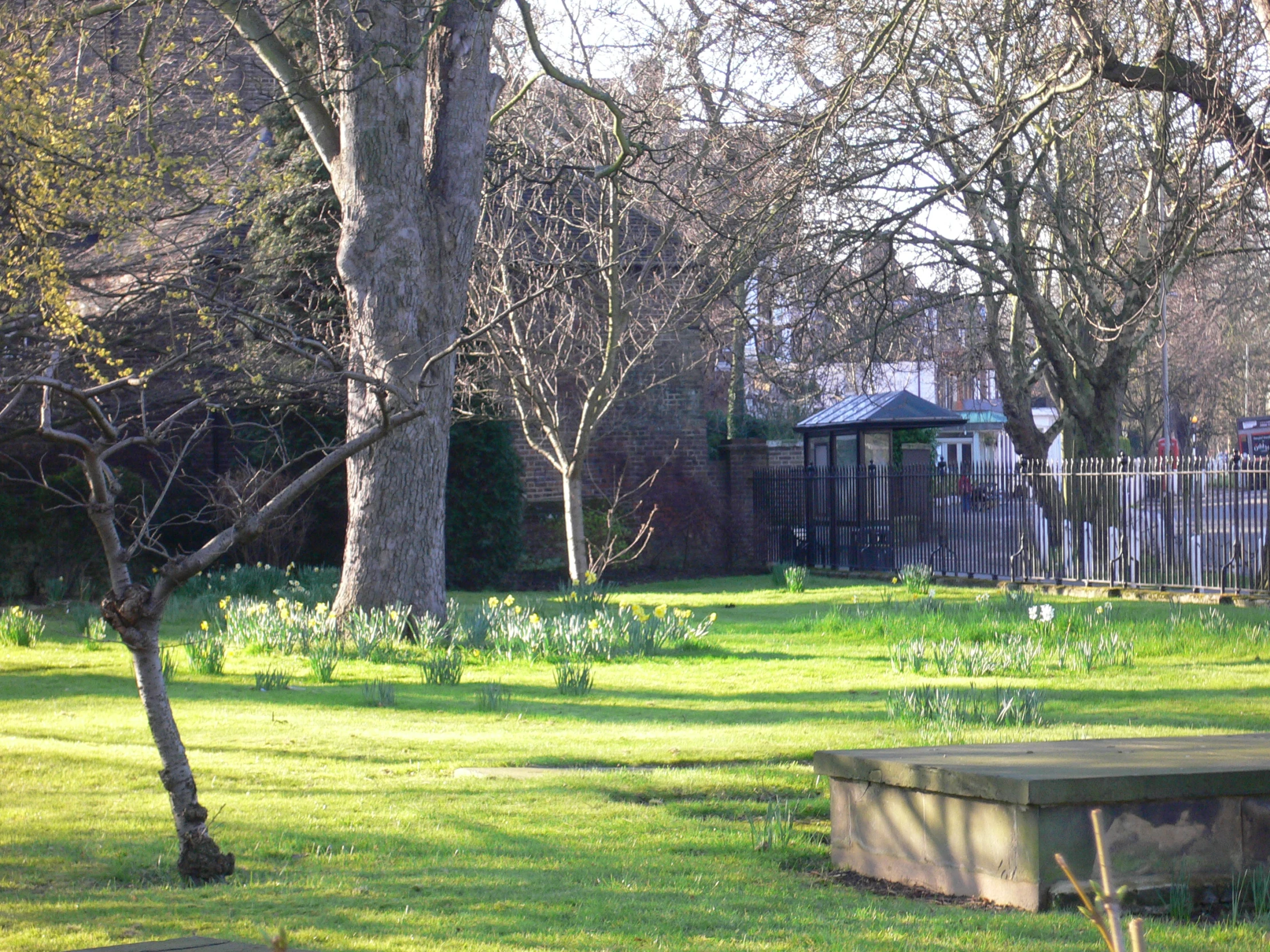 an empty park with benches and a fenced in area