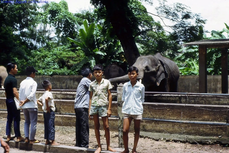 the three young people are standing together near a small elephant