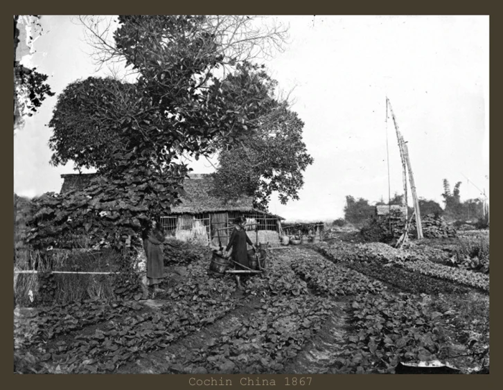 a farmer's yard with his animals and people