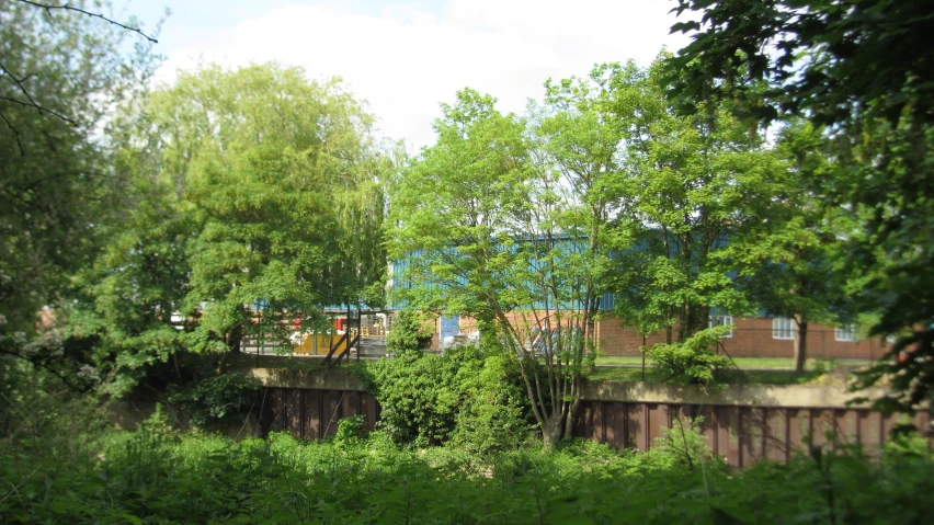 trees, foliage and a bridge in the distance