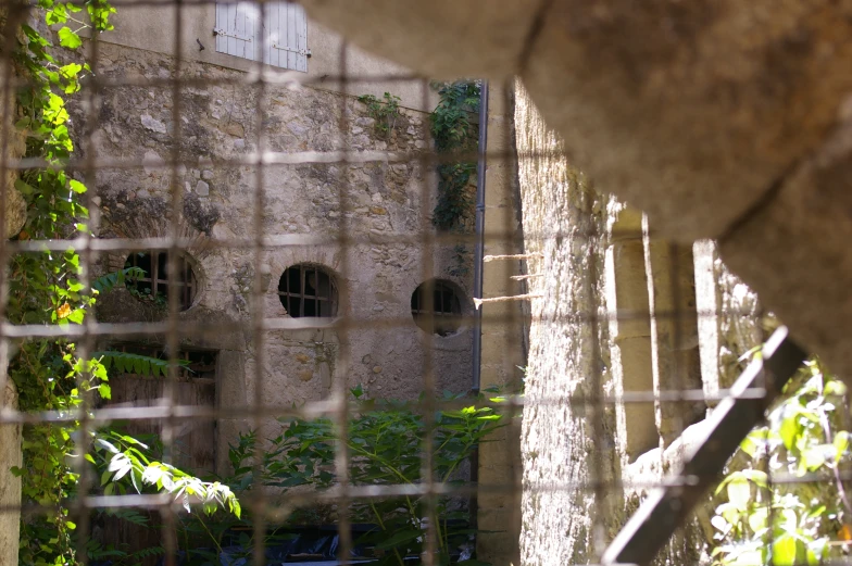 a stone building behind a gate with ivy growing on it