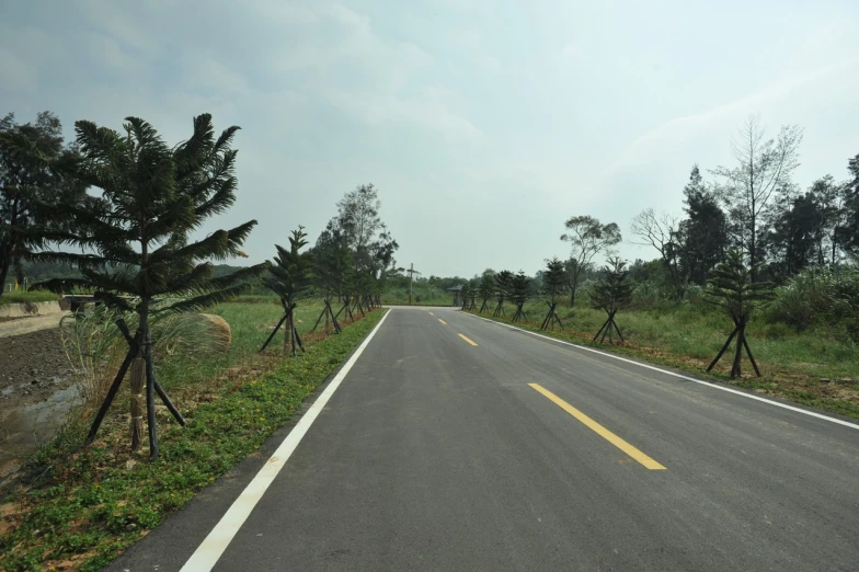 there is a empty road with no cars to move on