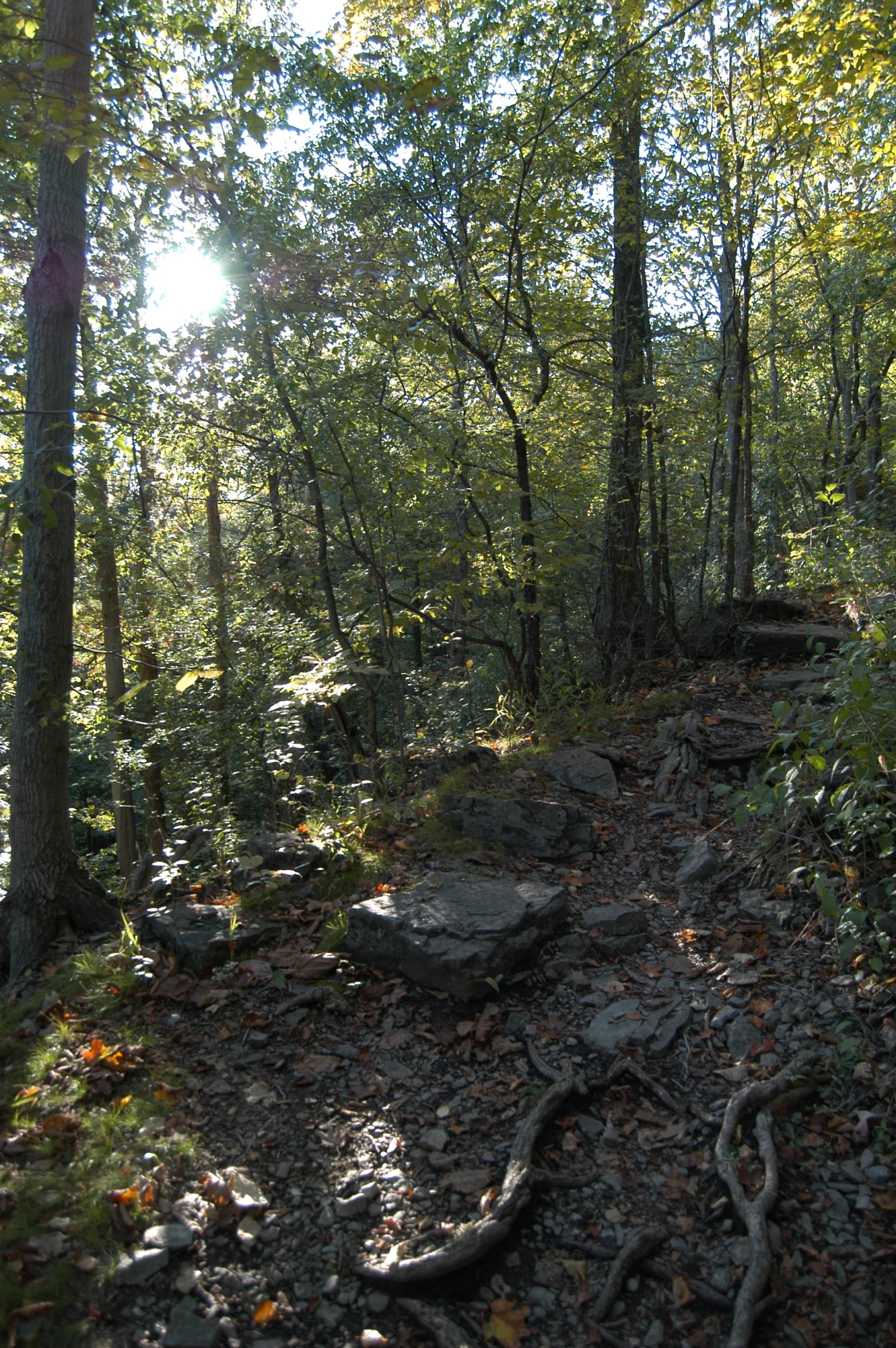 the path is made from stones on the ground