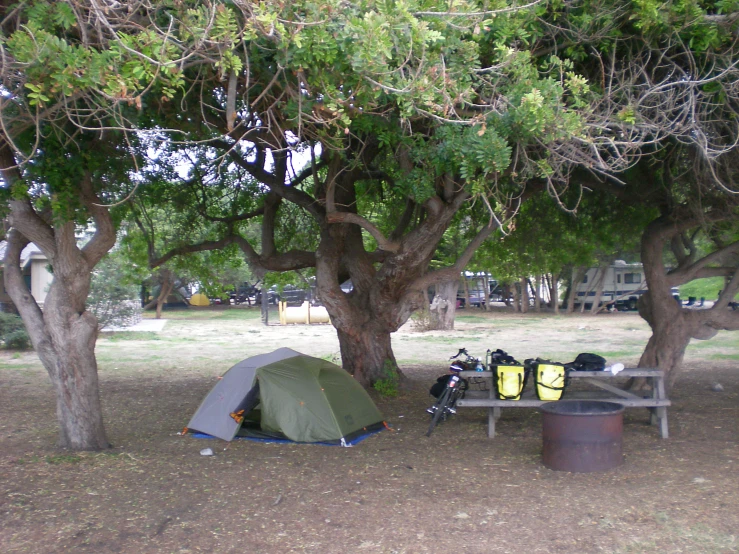 a tent and some trees in the field