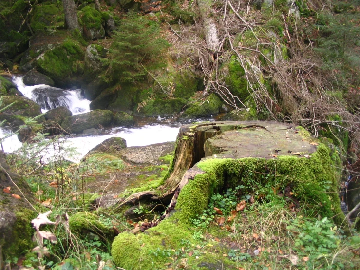 a wooden log sitting next to a water fall