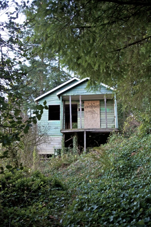 a small, rundown home with broken windows and overgrown shrubs in front