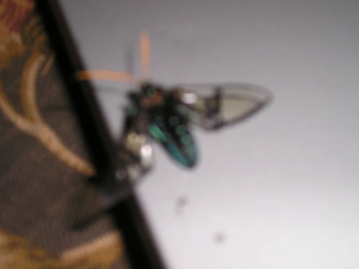 a fly - insect with green antennae that is hovering through the sky