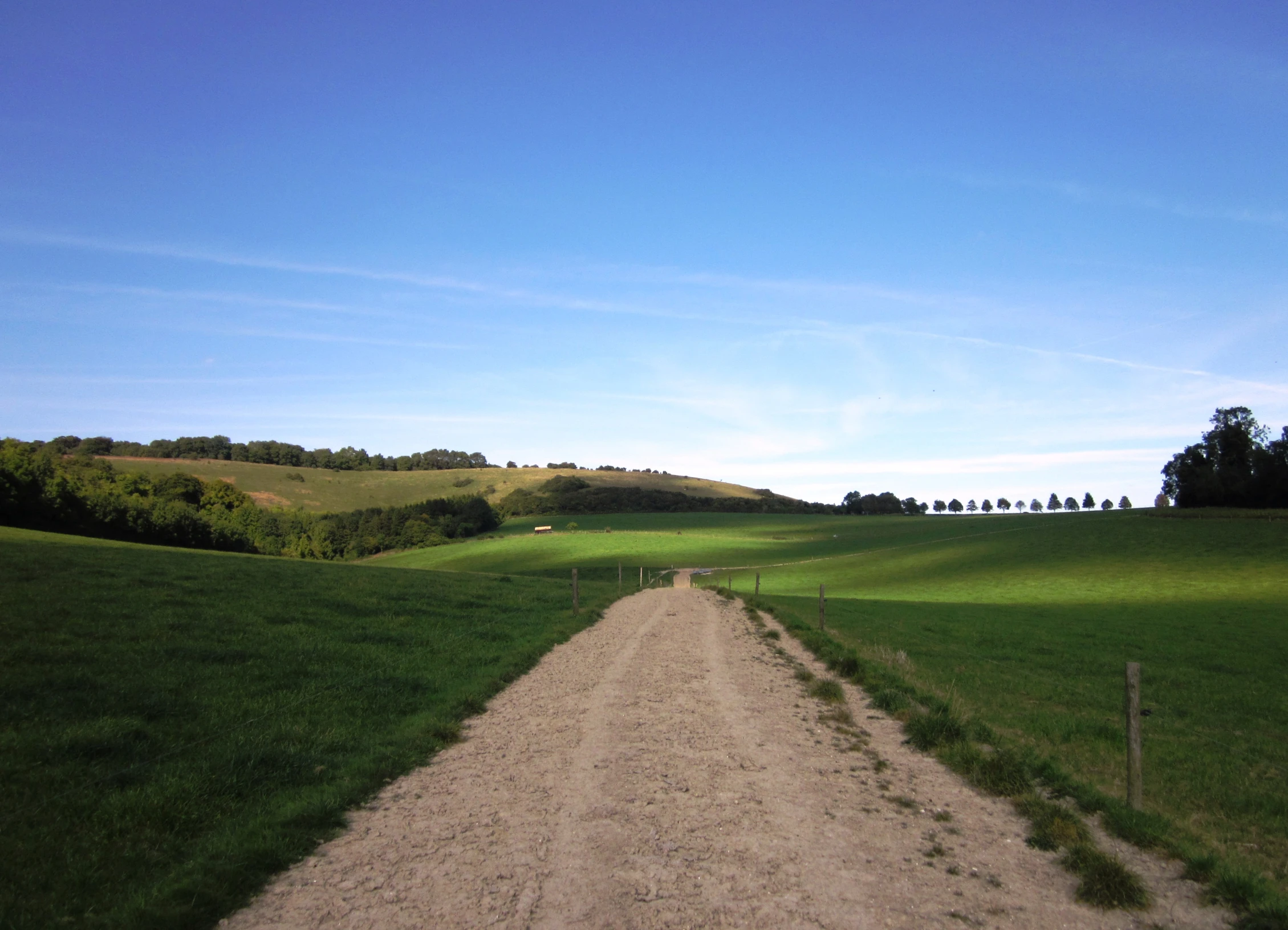 a dirt road with a grassy field in the background