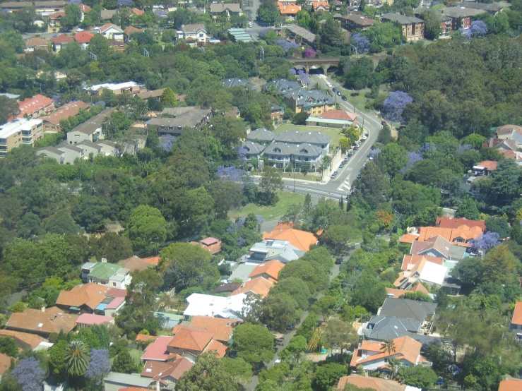 aerial s of residential area, including the streets and trees