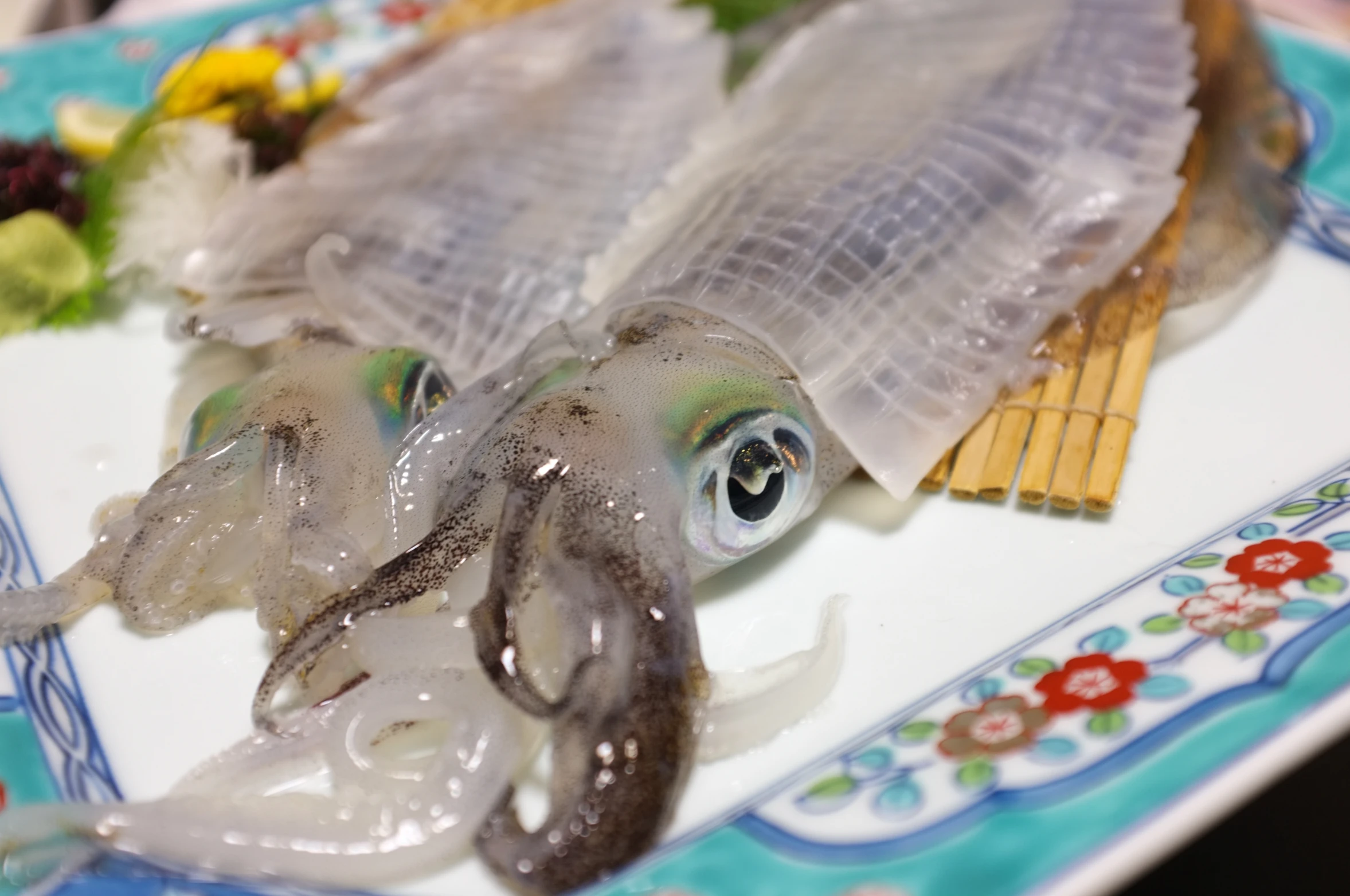 two squids with large eyes are on a plate