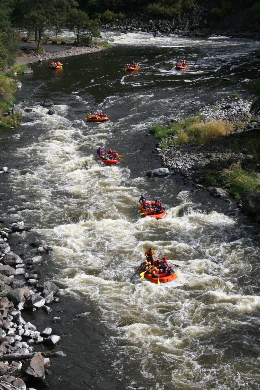 a group of rafts in the water on the river