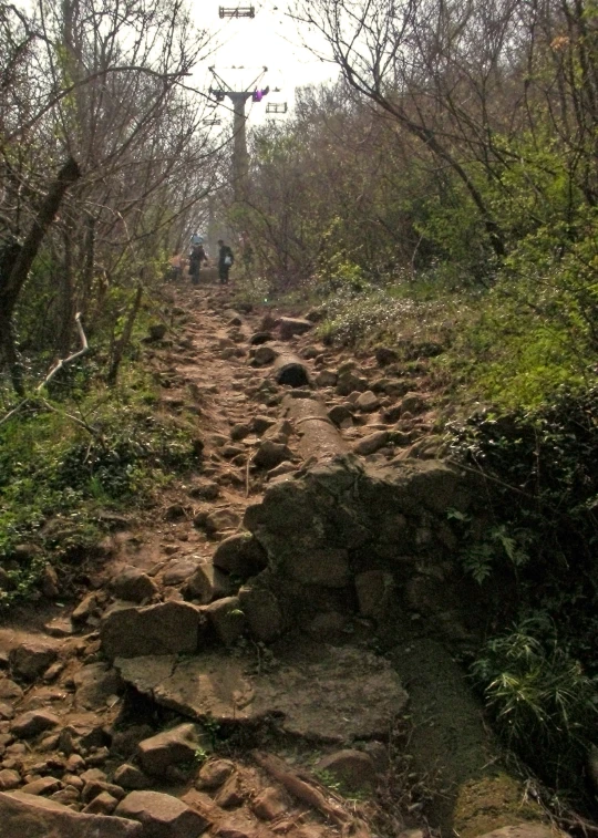 a stone path covered in rocks and grass