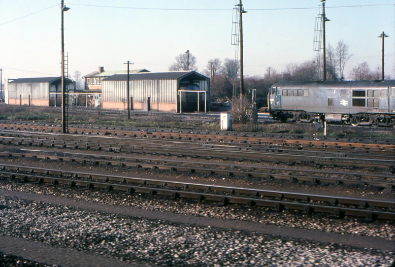 a couple of trains that are on some tracks