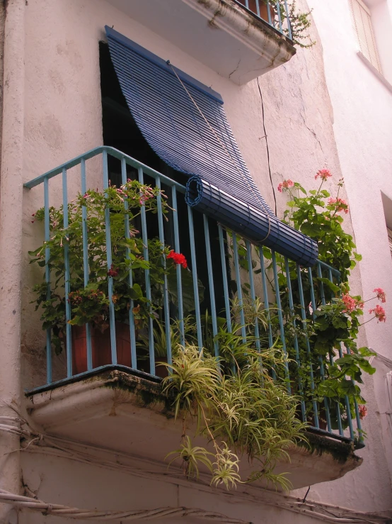 an open balcony with a small balcony garden and plants growing in the windows