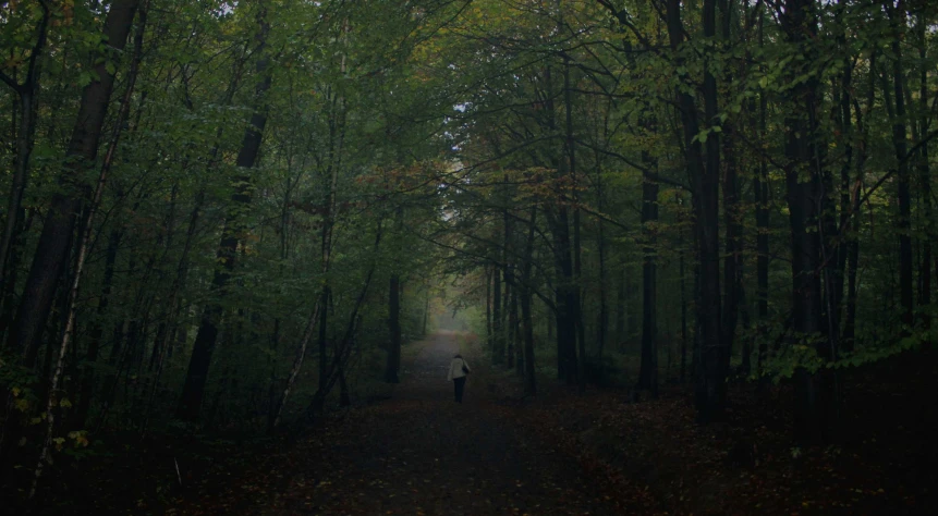 a person standing in the middle of a dark forest