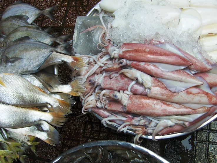 a basket full of different types of seafood