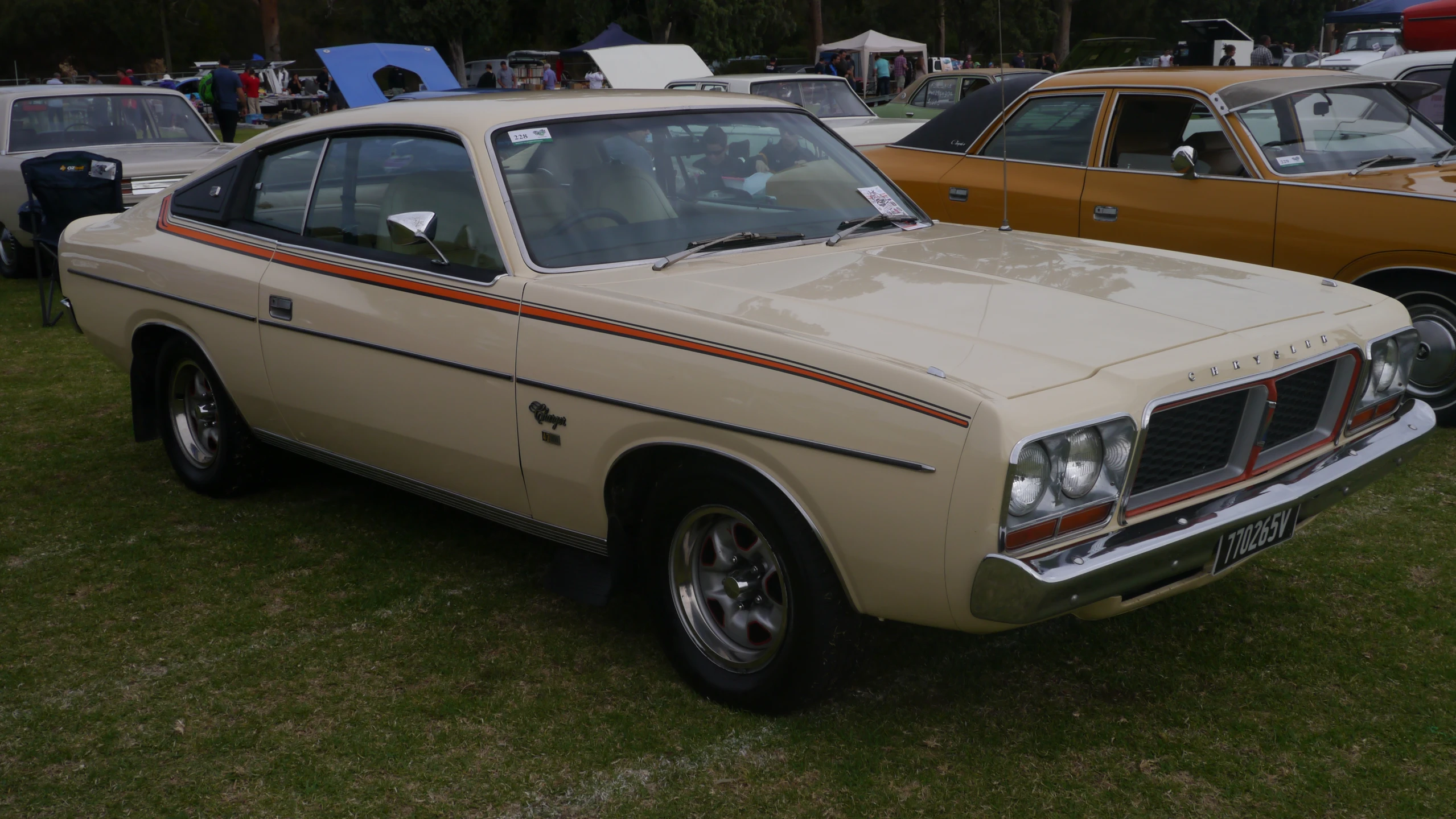 a tan car parked near other cars in a park