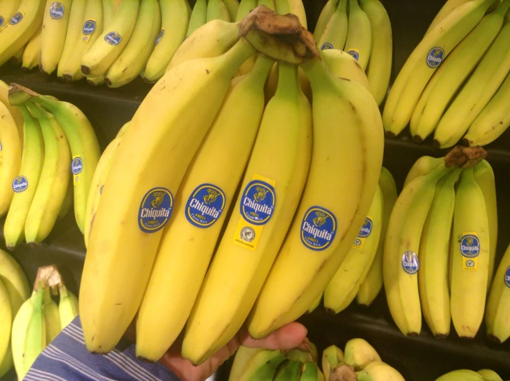 a bunch of bananas hanging from hooks for sale