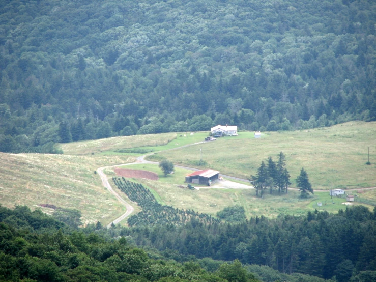 this is a large field with lots of grass