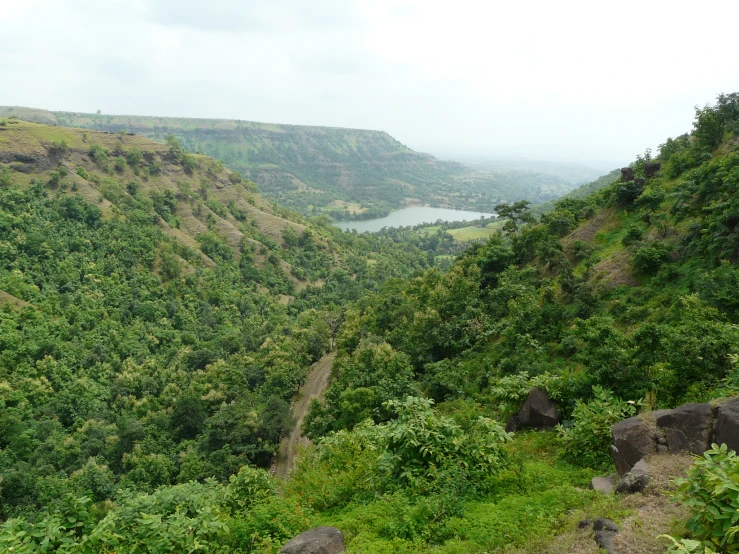 a valley filled with lush green hills and lots of trees