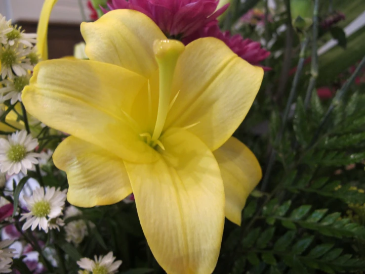 some flowers and green leaves and a white and red flower