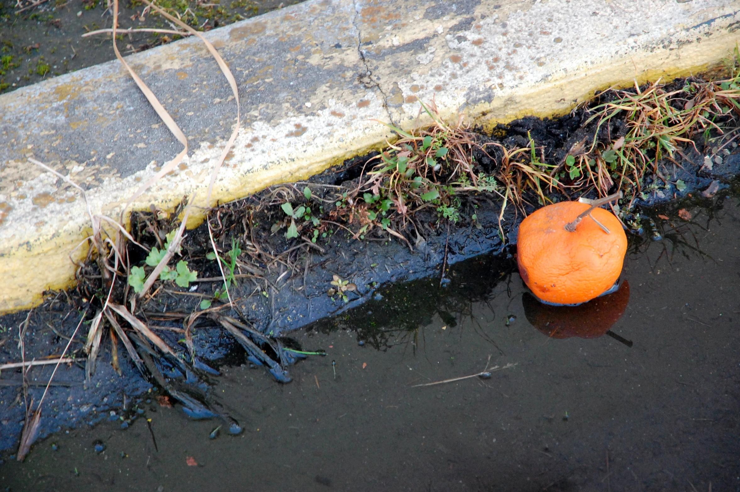 an orange ball sits in the dle next to a road