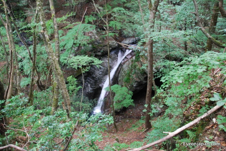 waterfall on side of mountain in wooded area