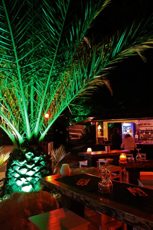 a large, tree - lined backyard area has tropical lights on it