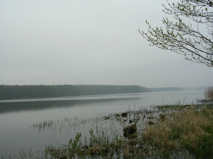 the water is very calm and misty by the shore