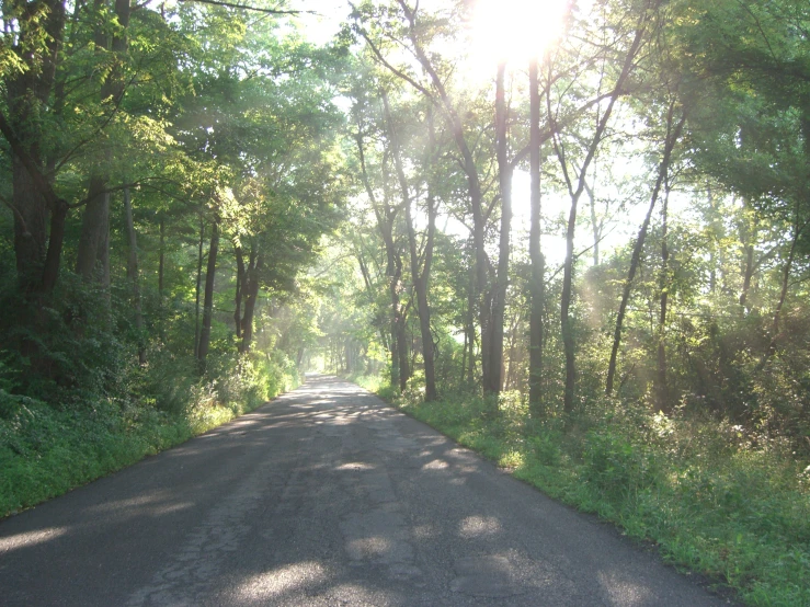 the sun is shining through the trees along a path