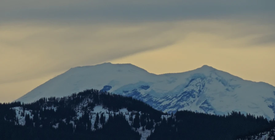 a very tall snowy mountain next to trees