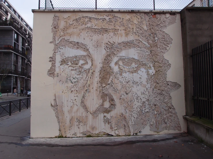 this wall has been made up of plastic sheeting and the artwork depicts a man with many eyes