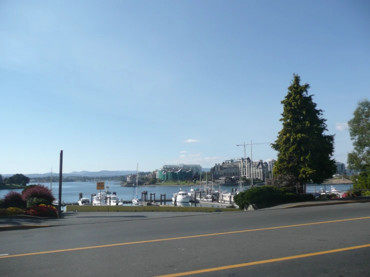 a road beside a marina with houses on the water