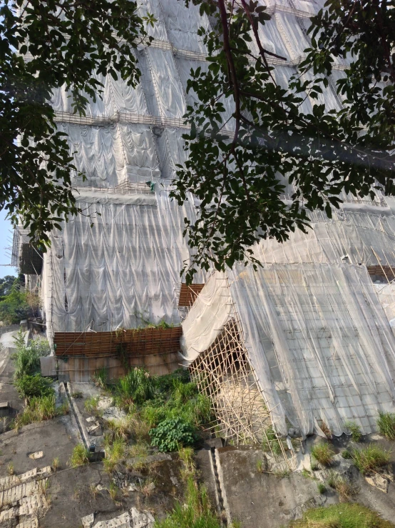 an image of a tree and a large building