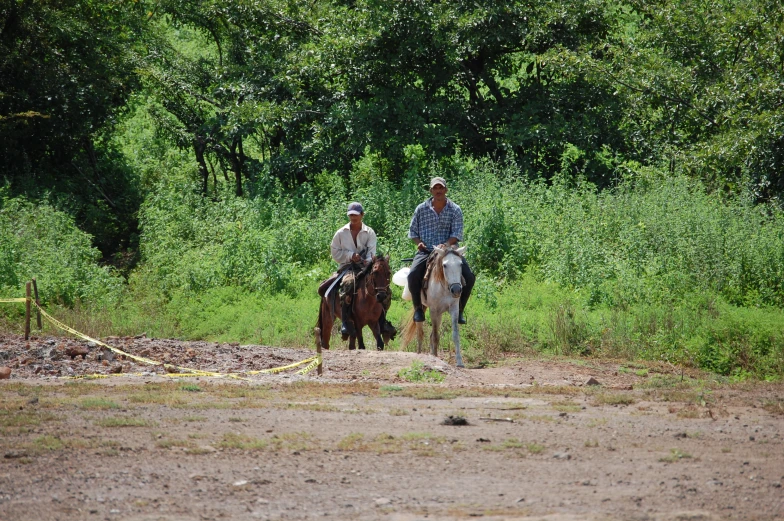 two people riding on horses through the woods