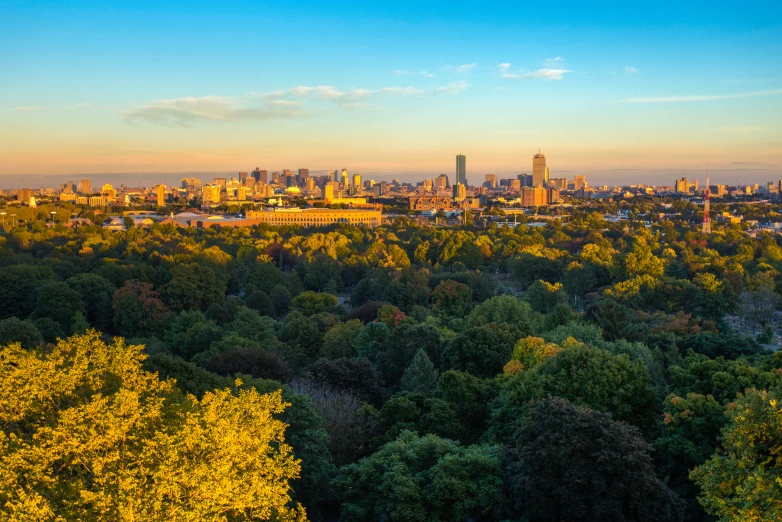 a cityscape is seen from a hill over looking a forest